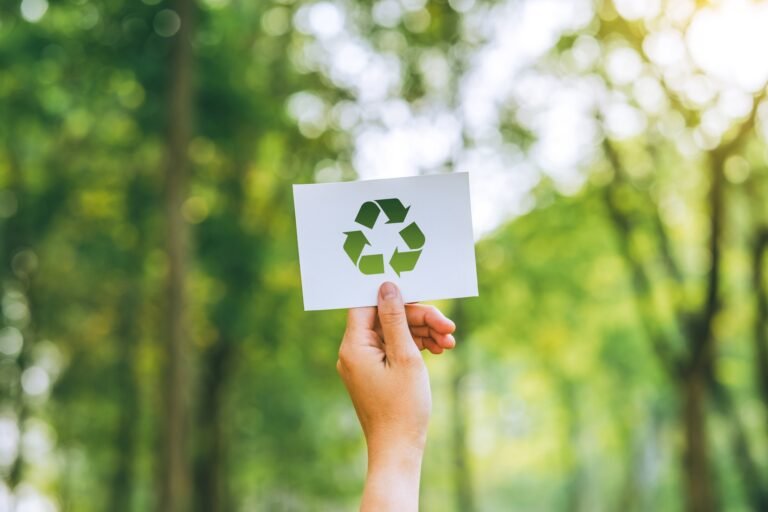 Developing-sustainable-CO2