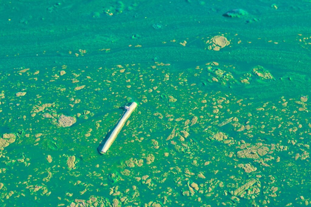 Environmental water pollution