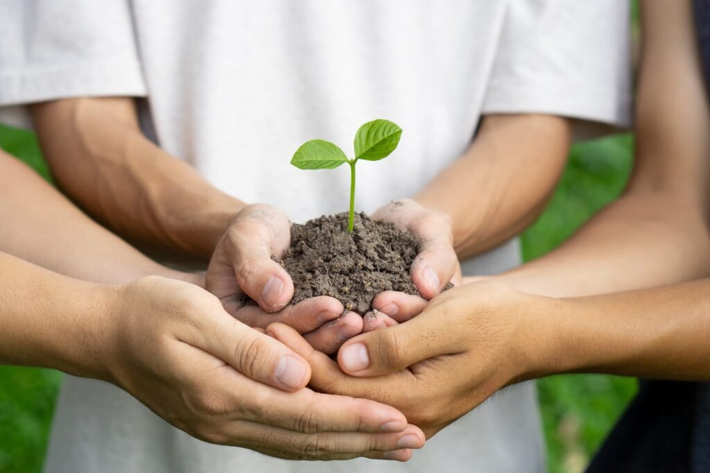 Group of man hands cupping young plant. Nurture grow Environmental and reduce global warming.